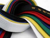 sabuk taekwondo - PT. DRAGON KNIGHTS CORPORATION | Qlike